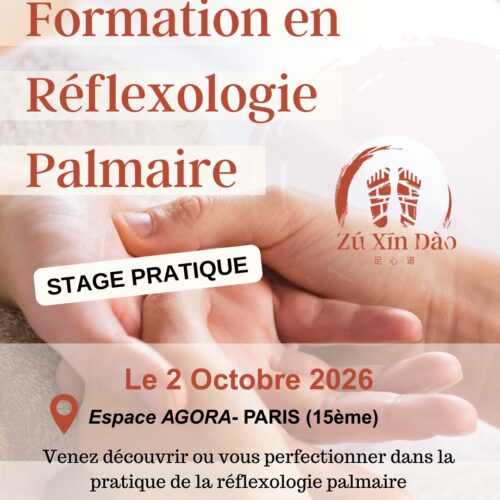 Affiche formation Réflexologie Palmaire 2026 Paris