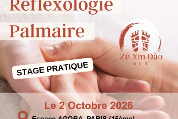 Affiche formation Réflexologie Palmaire 2026 Paris