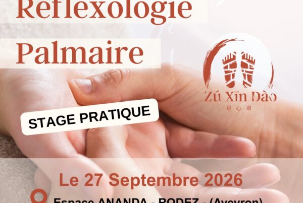 Affiche formation Réflexologie Palmaire 2026 Rodez