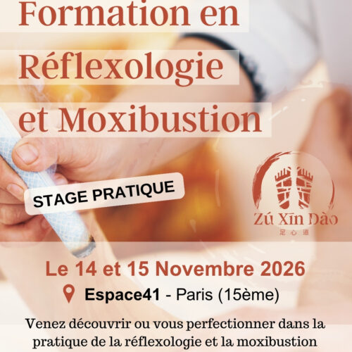 Formation Moxibustion Paris novembre