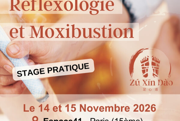 Formation Moxibustion Paris novembre
