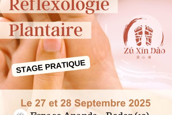 Formation réflexologie ZXD Septembre 2025