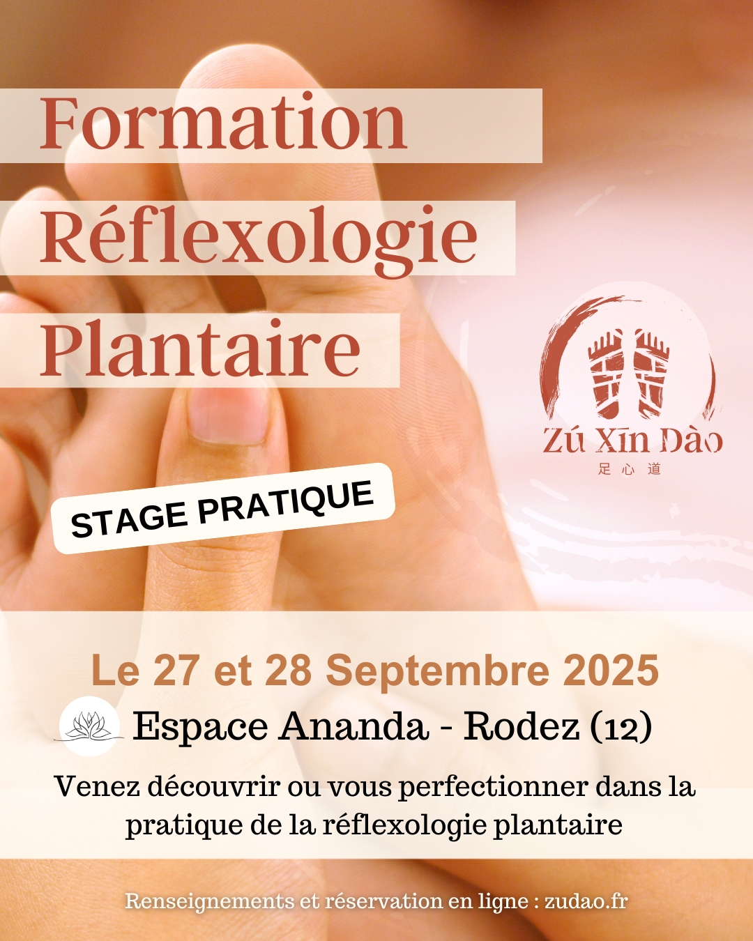 Formation réflexologie ZXD Septembre 2025