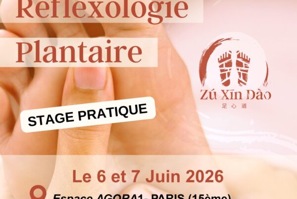 Formation réflexologie ZXD paris juin 2026