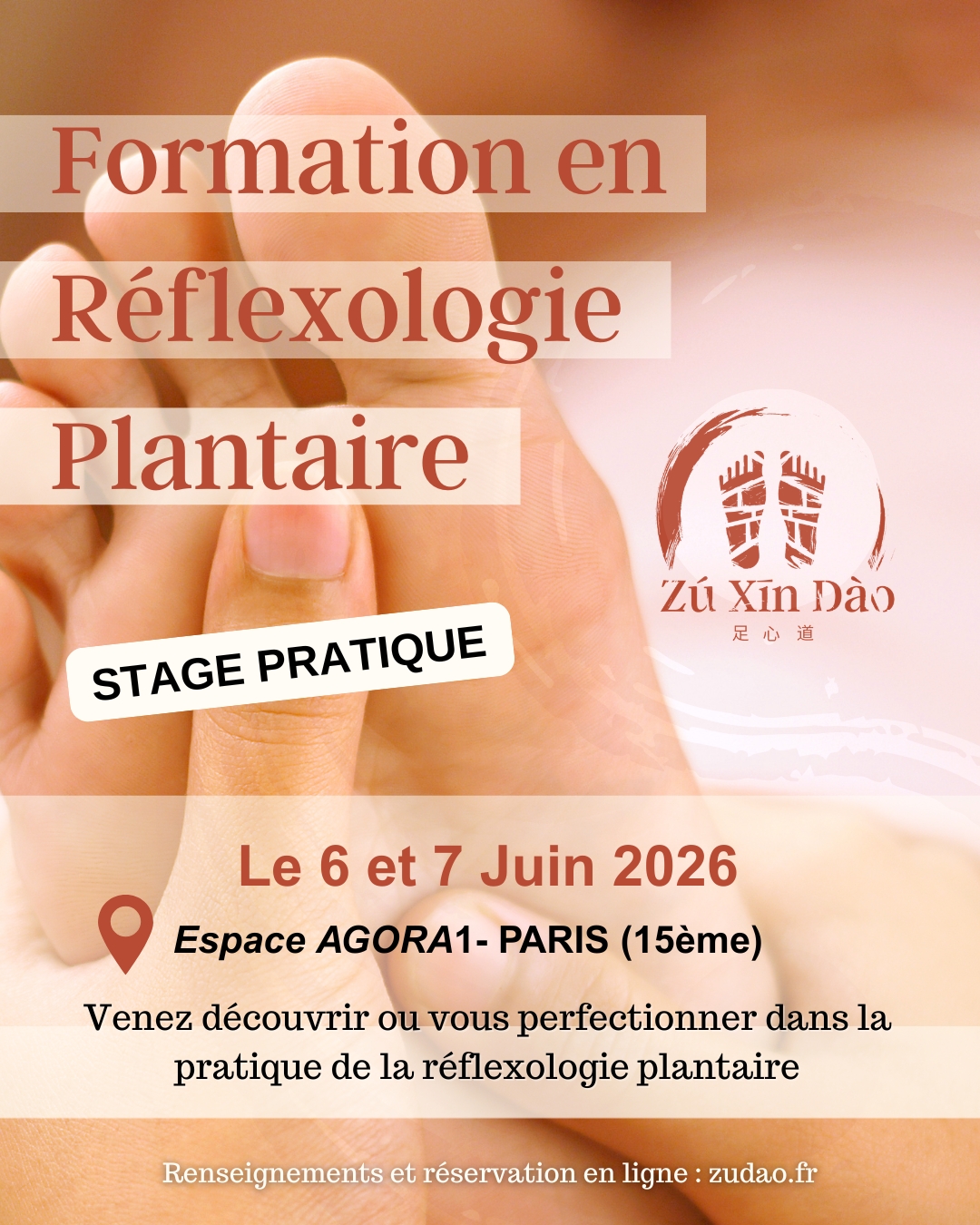 Formation réflexologie ZXD paris juin 2026