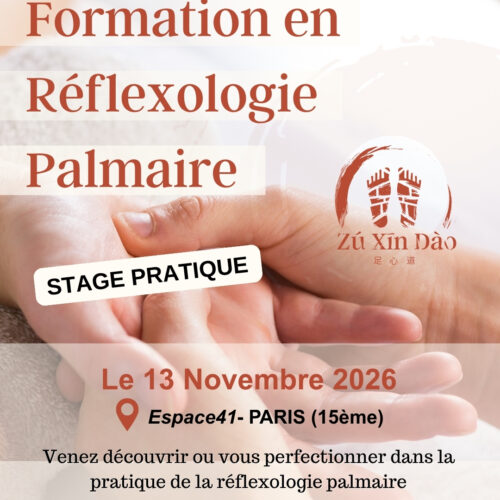 Formation réflexologie palmaire ZXD Paris Novembre
