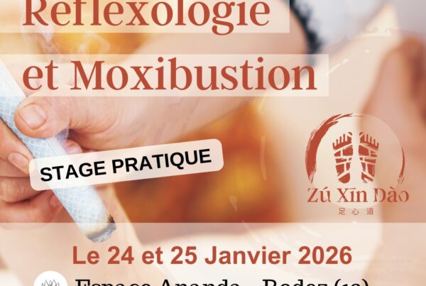 Stage ZXD Reflexo Moxibustion Janvier 2026