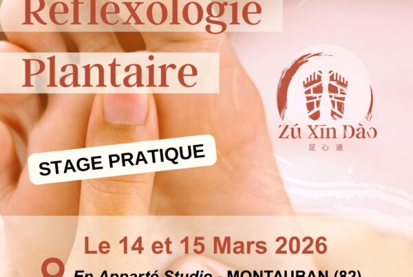 Stage pratique ZXD Mars2026
