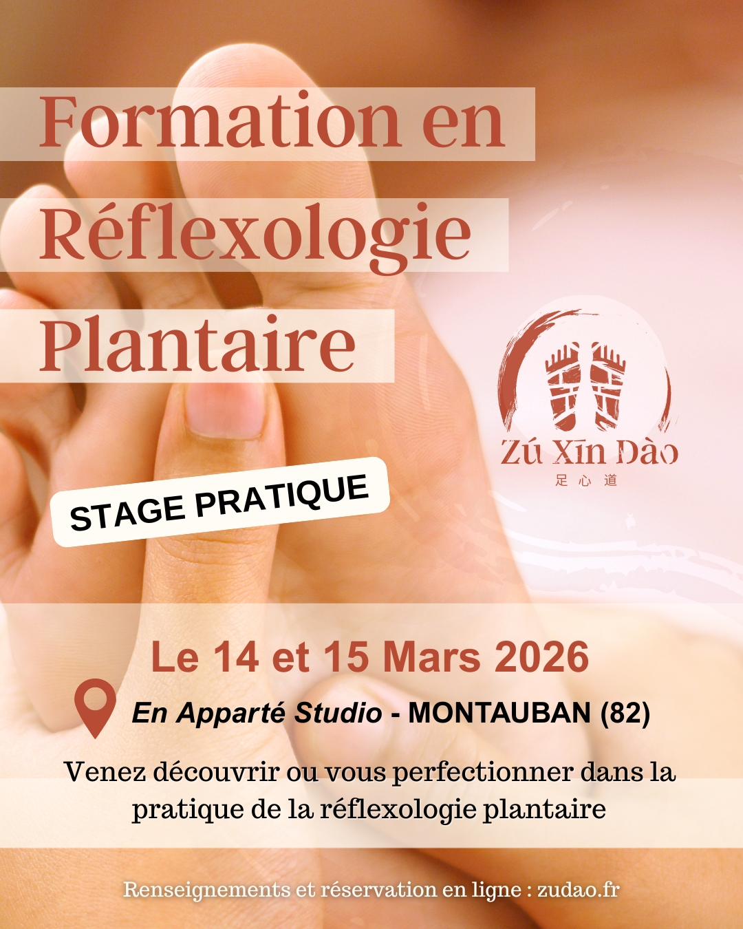 Stage pratique ZXD Mars2026