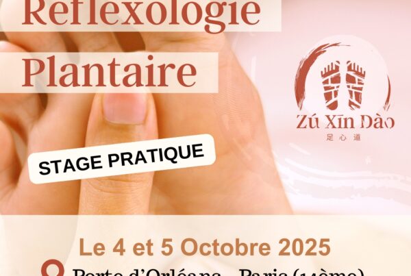 Stage pratique reflexologie plantaireZXD Paris 2025