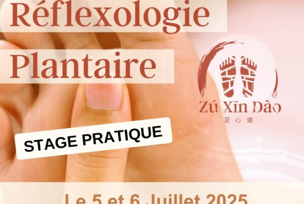 Visuel stage Juillet 2025
