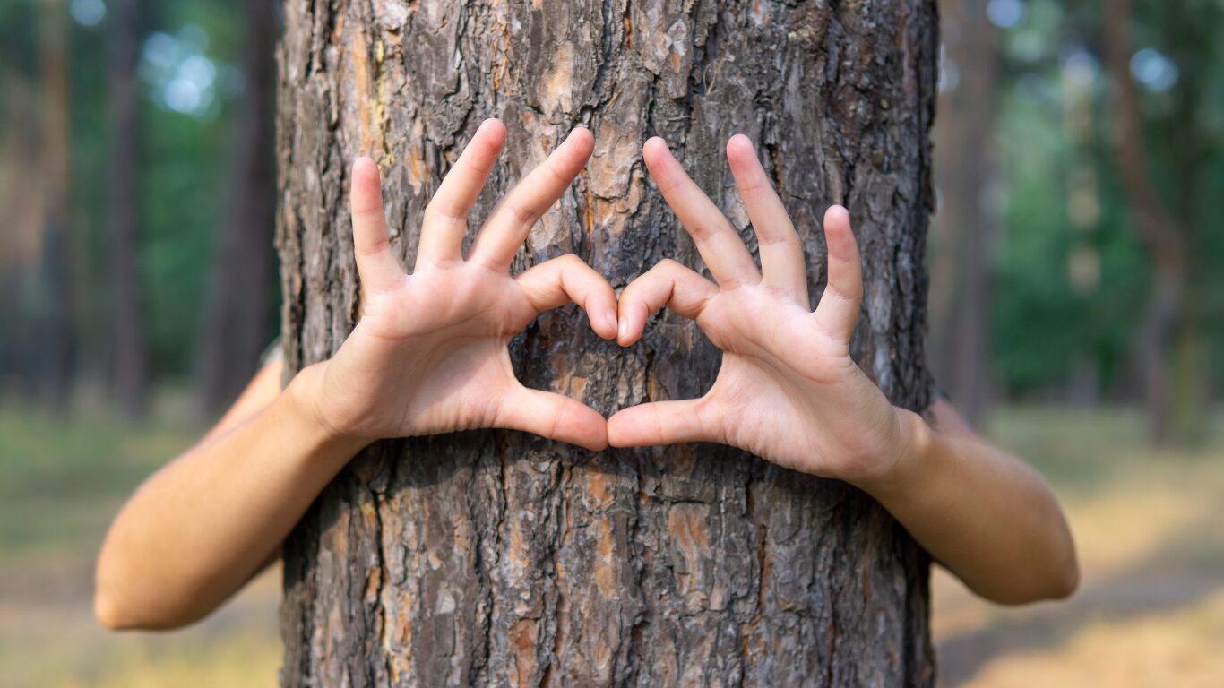 Qigong et Réflexologie : Pourquoi pratiquer la posture de l’arbre ?